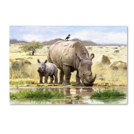 The Macneil Studio 'Rhino' Canvas Art,22x32